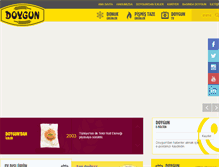 Tablet Screenshot of doygun.com.tr